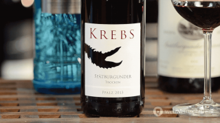 Spätburgunder Pinot Noir