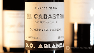 Tempranillo Arlanza