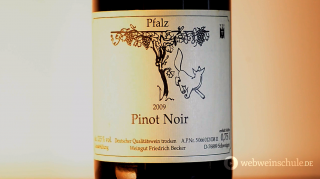 Pinot Noir Pfalz Becker