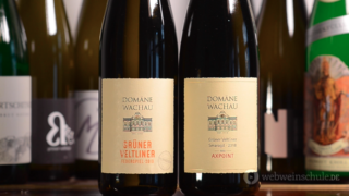 Grüner Veltliner