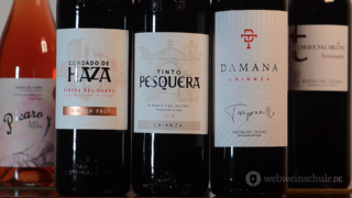 Crianza Ribera del Duero Pesquera