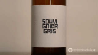 Piwi Souvignier Gris