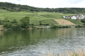 Obermosel Saar Ruwer