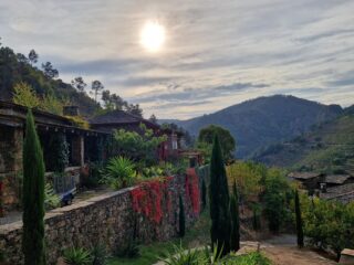 Weinreisen mit Guide in Spanien