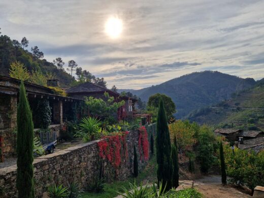 Weinreisen mit Guide in Spanien